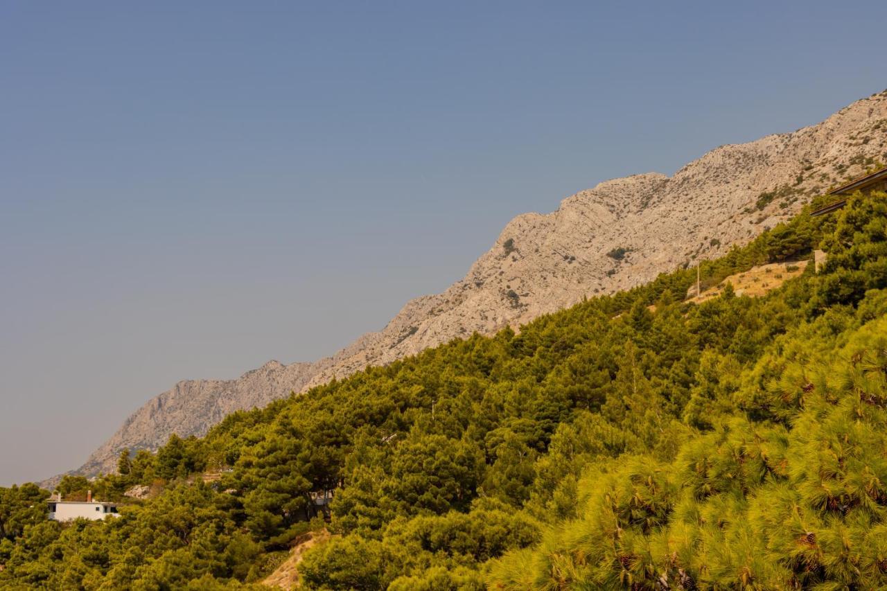 Luxury Apartments Villa Opera Marusici  Dış mekan fotoğraf