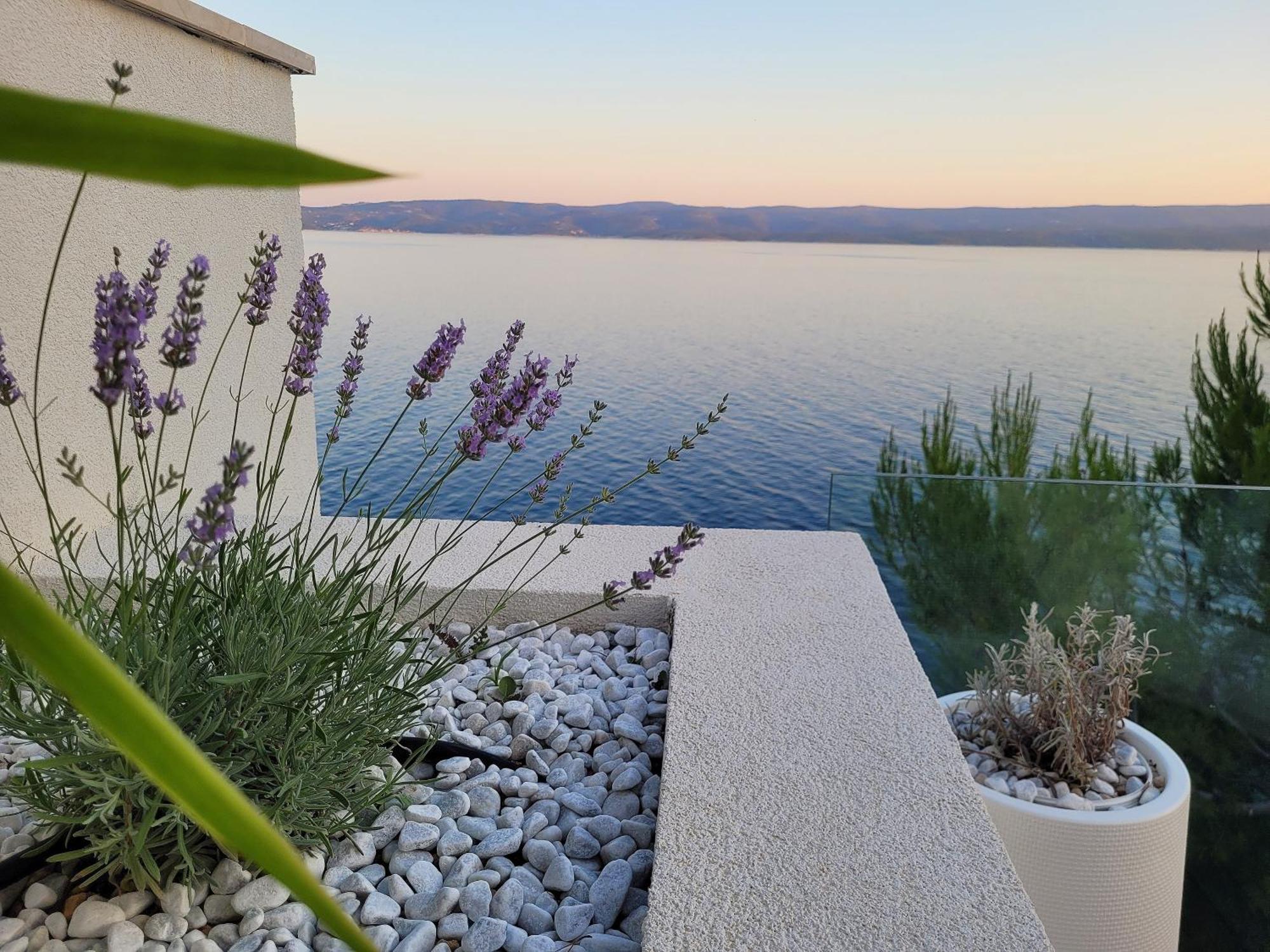 Luxury Apartments Villa Opera Marusici  Dış mekan fotoğraf